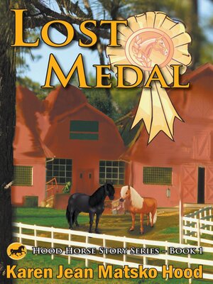 cover image of Lost Medal
